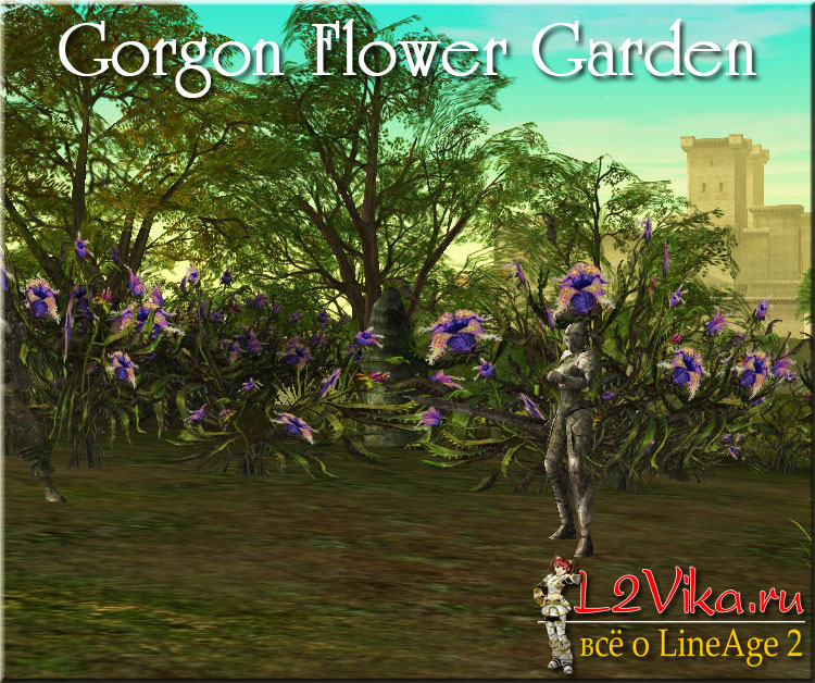 Gorgon flower garden недорогие квартиры в италии