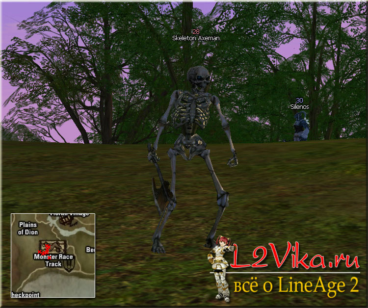 Skeleton Axeman - Lvl 28 - L2Vika.ru